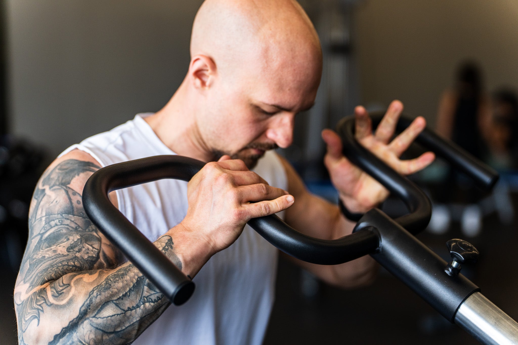 David R. · Verified Viking Press owner